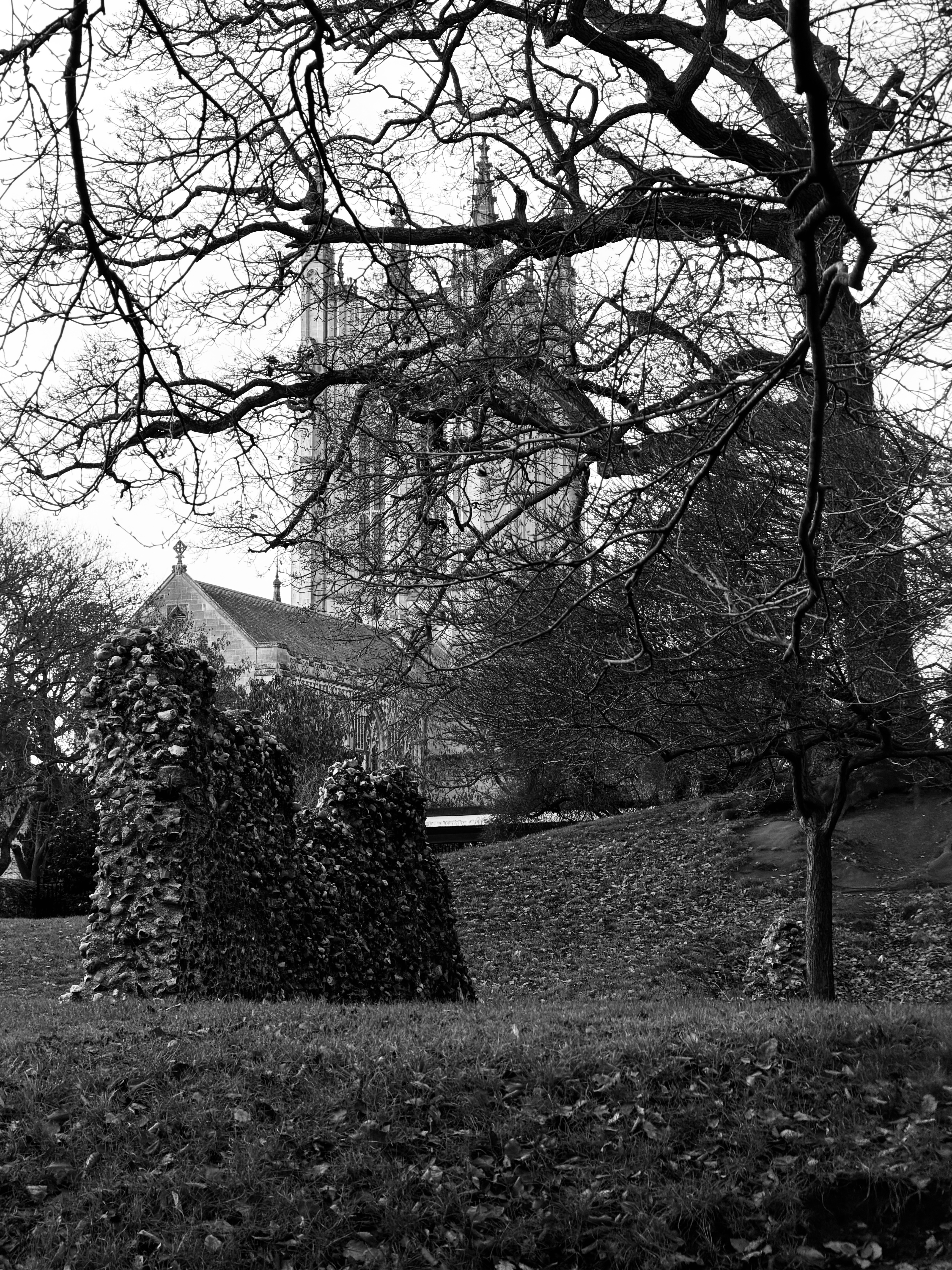 Abbey Ruins